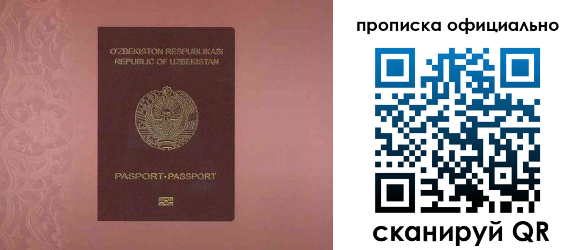 прописка гарантия в Тольятти